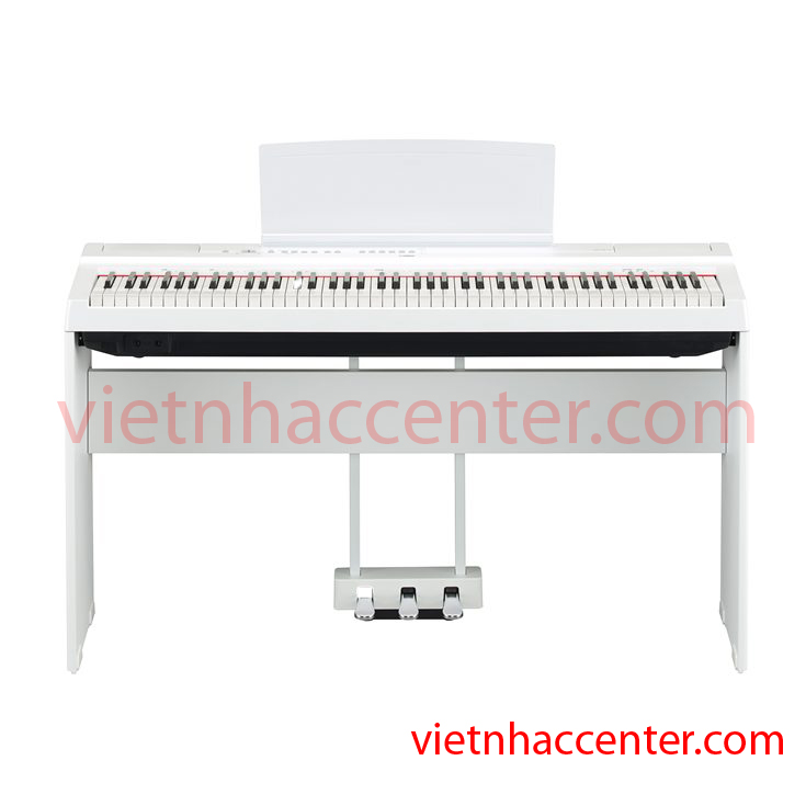 Đàn Piano Điện Yamaha P-125 + L-125 + LP-1