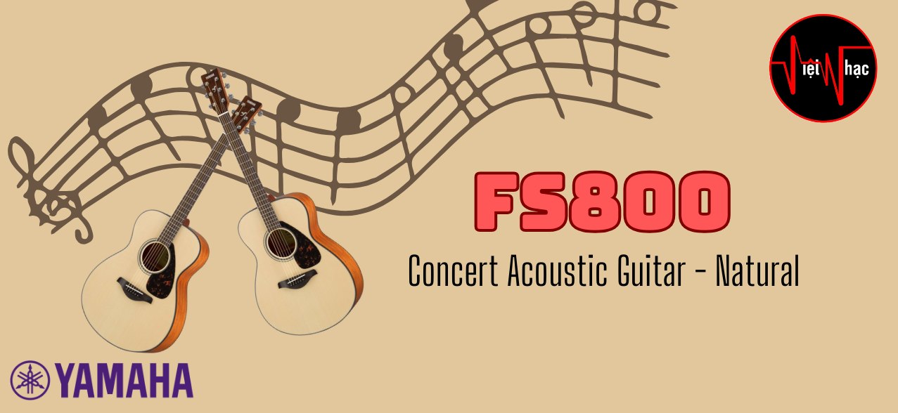 Guitar Acoustic Yamaha FS800 NT