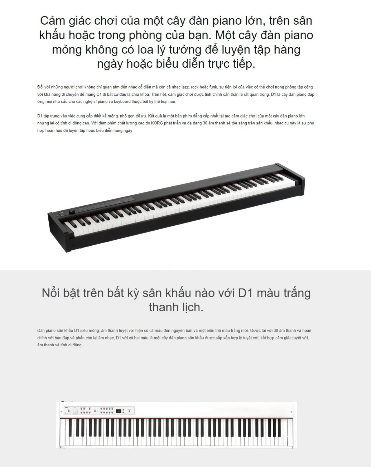 Stage Piano KORG D1