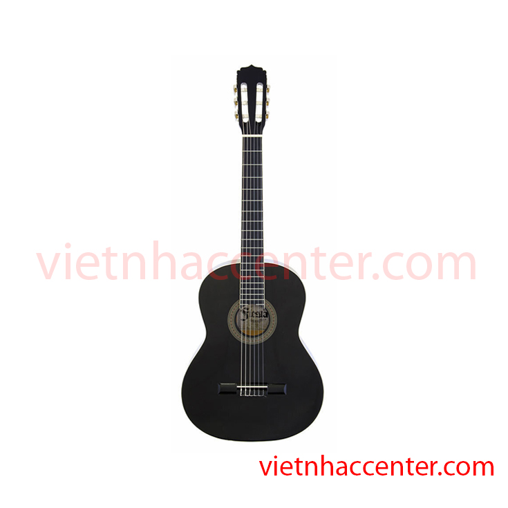 Đàn Guitar Classic Aria Fiesta FST-200 NT/BK