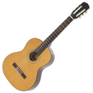 ĐÀN GUITAR HCM