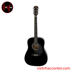 Guitar Acoustic Aria FST-300