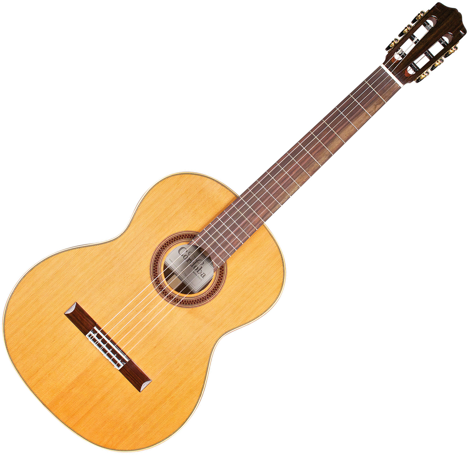 ĐÀN GUITAR TP Hồ Chí Minh | Việt Nhạc Center