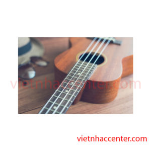 Hướng Dẫn Chọn Mua Đàn Ukulele Cho Người Mới Tập Chơi