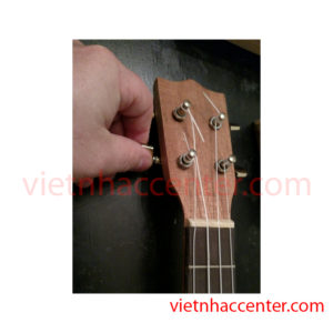 Hướng Dẫn Chọn Mua Đàn Ukulele Cho Người Mới Tập Chơi