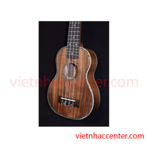Hướng Dẫn Chọn Mua Đàn Ukulele Cho Người Mới Tập Chơi