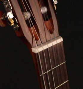 Guitar Classic Cort AC-160