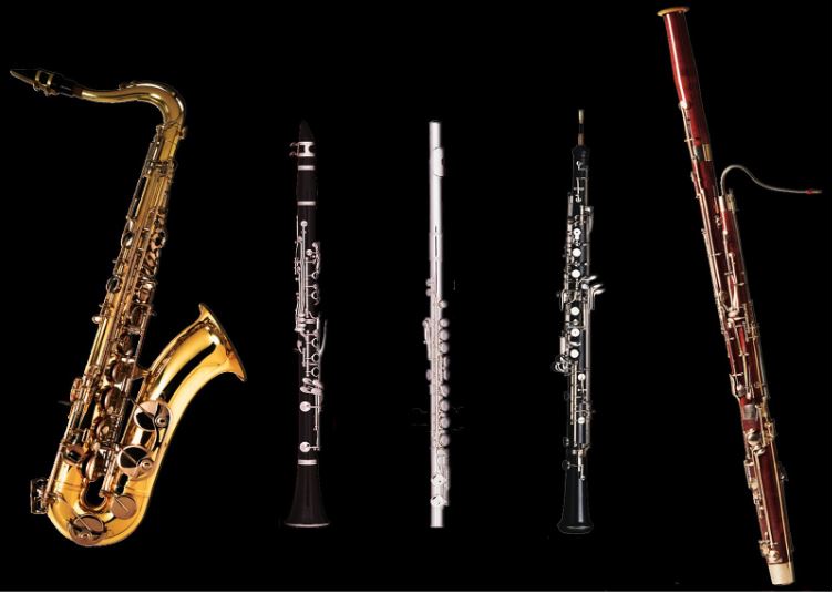 Có rất nhiều loại kèn khác nhau