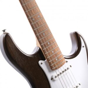 Guitar Điện Cort G100