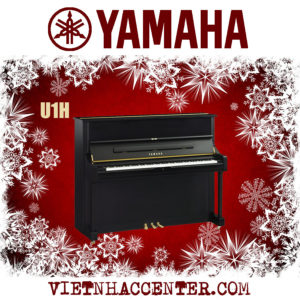 CHƯƠNG TRÌNH GIÁNG SINH GIẢM GIÁ NHẠC CỤ, ÂM THANH,... TỪ VIỆT NHẠC