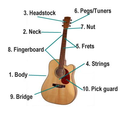 Các bộ phận trên đàn Guitar Acoustic