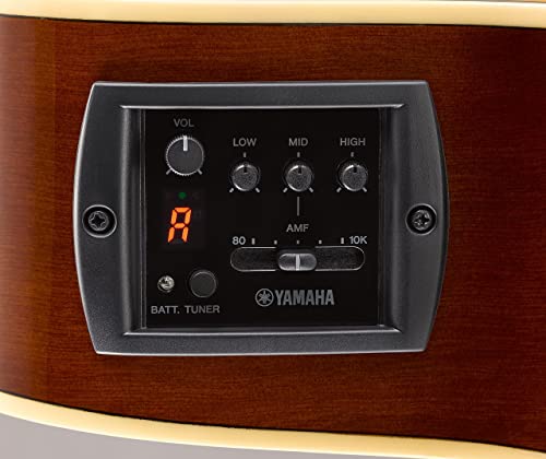Tổng hợp các loại EQ thường dùng trên Guitar Yamaha