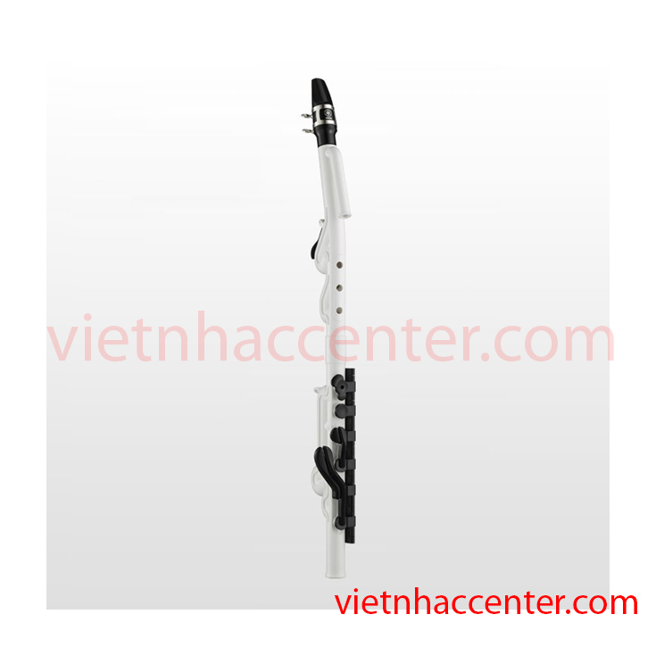Kèn Saxophone giá bao nhiêu ???