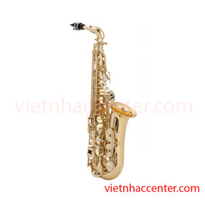 Kèn Saxophone giá bao nhiêu???