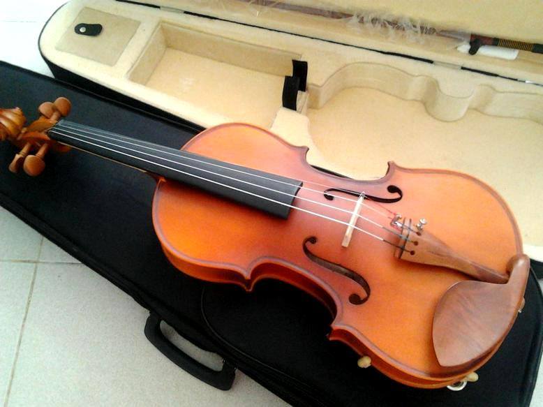 Phụ kiện violin có gì đặc biệt?