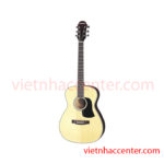 Guitar Acoustic Aria AF 20