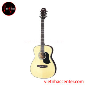Guitar Acoustic Aria AF 20