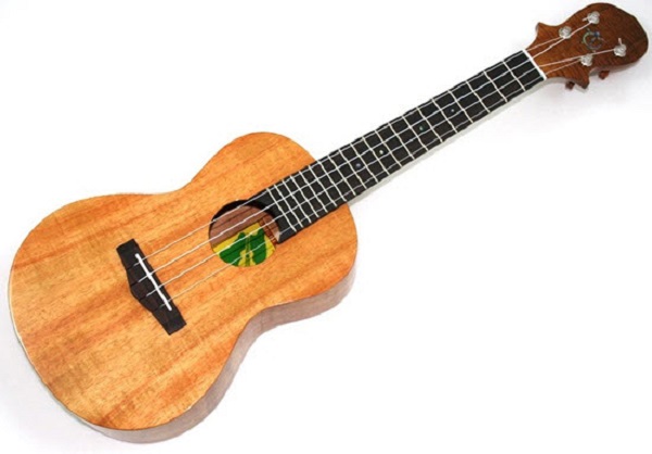 Tại sao Ukulele được ưa chuộng? - Cách lên dây Ukulele chuẩn