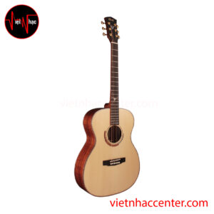 Guitar Acoustic Cort Abstract Limited
