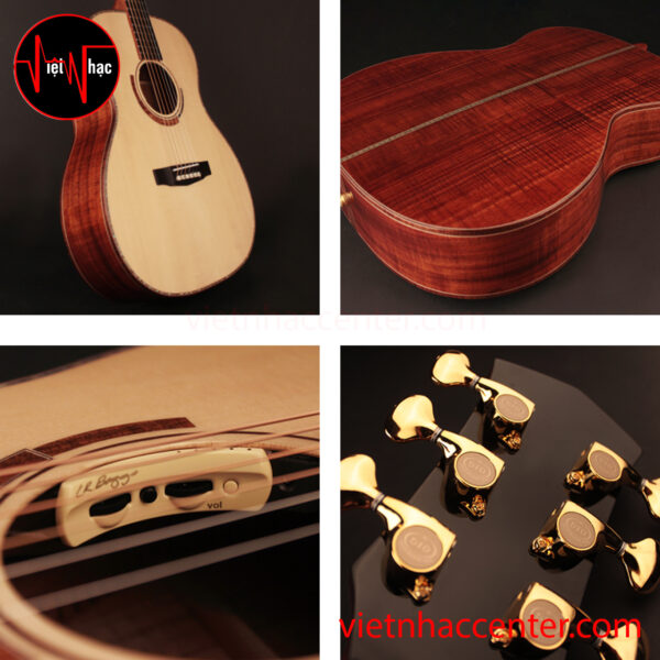 Guitar Acoustic Cort Abstract Limited
