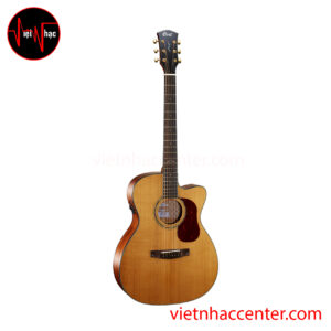 Guitar Acoustic Cort GOLD OC6