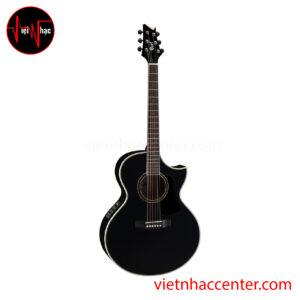 Guitar Acoustic Cort NDX20