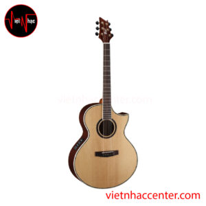 Guitar Acoustic Cort NDX50