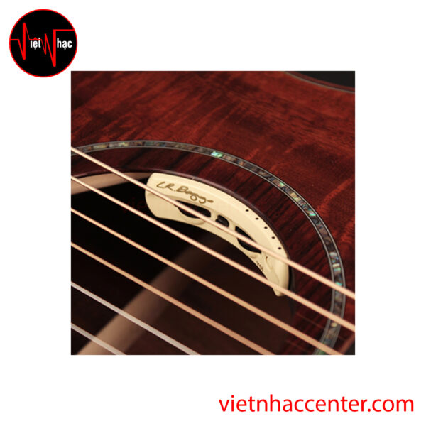 Guitar Acoustic Cort OM-LE KA