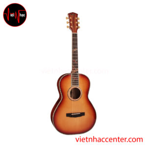 Guitar Acoustic Cort PR-LE MY