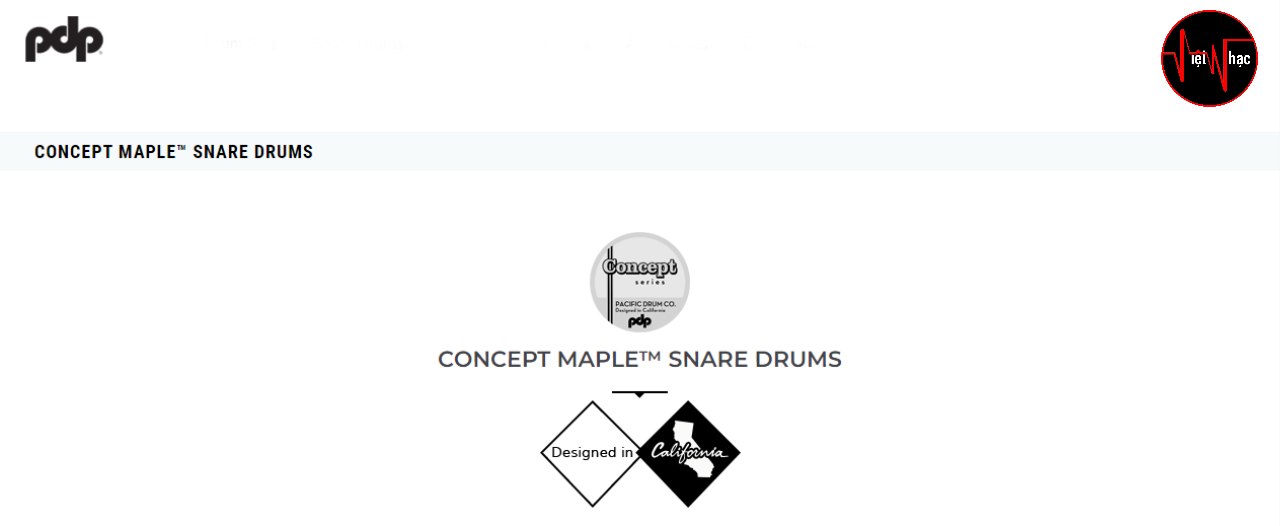 TRỐNG SNARE PDP CONCEPT MAPLE PDCM5514SS