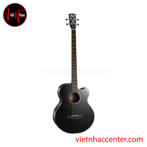 Guitar Acoustic Bass Cort AB850F