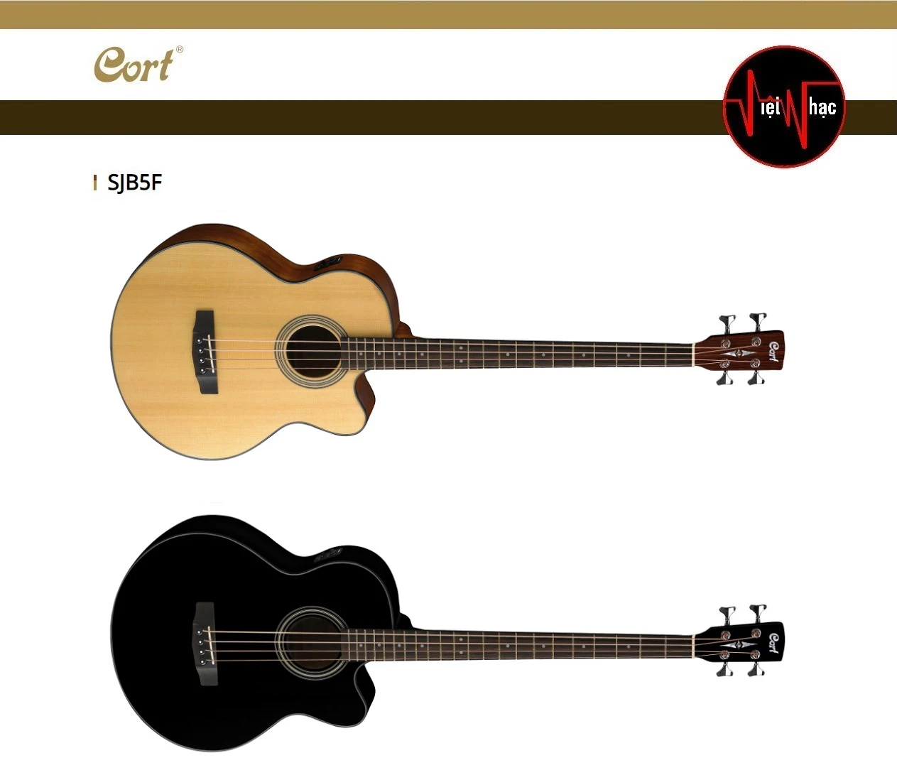 Guitar Acoustic Bass Cort SJB5F