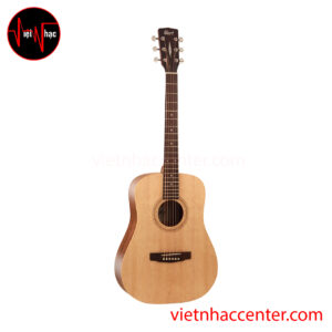 Guitar Acoustic Cort Earth50