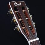 Guitar Acoustic Cort L500 O