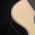 Guitar Acoustic Cort L500 O