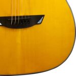 Guitar Acoustic Cort LUXE Frank Gambale