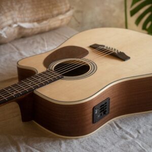 Guitar Acoustic Cort MR500E