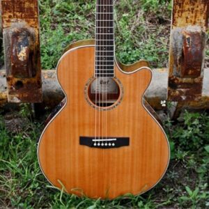 Guitar Acoustic Cort SFX CED