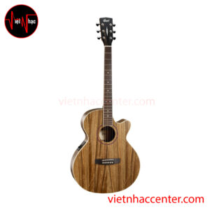 Guitar Acoustic Cort SFX DAO