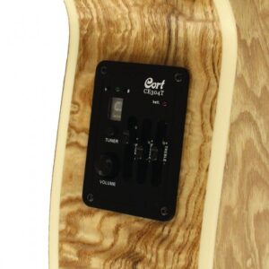 Guitar Acoustic Cort SFX DAO