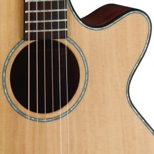 Guitar Acoustic Cort SFX E