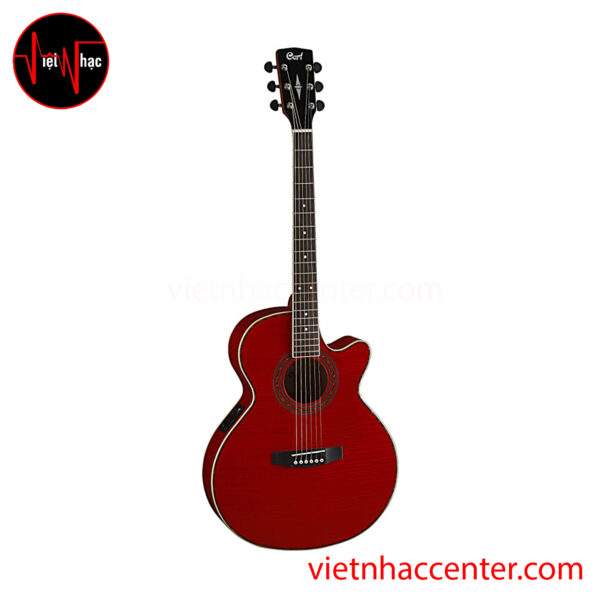 Guitar Acoustic Cort SFX FM