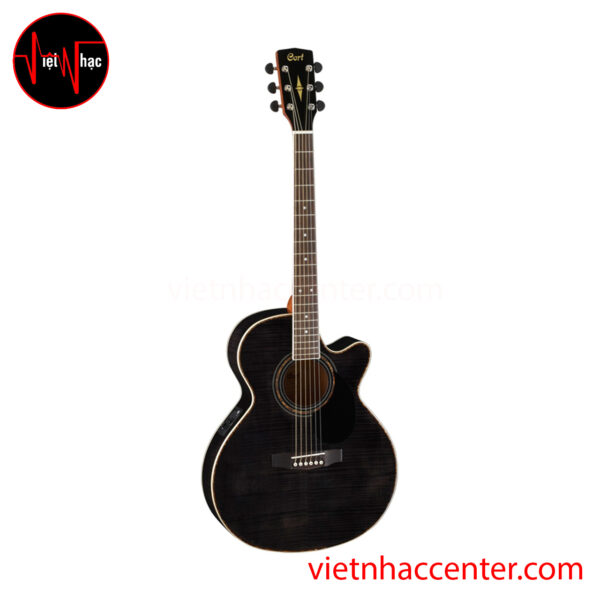 Guitar Acoustic Cort SFX FM