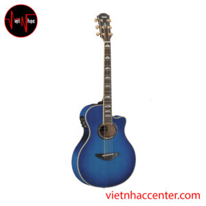 Guitar Acoustic Yamaha APX900 UM
