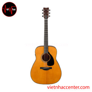 Guitar Acoustic Yamaha FGX3