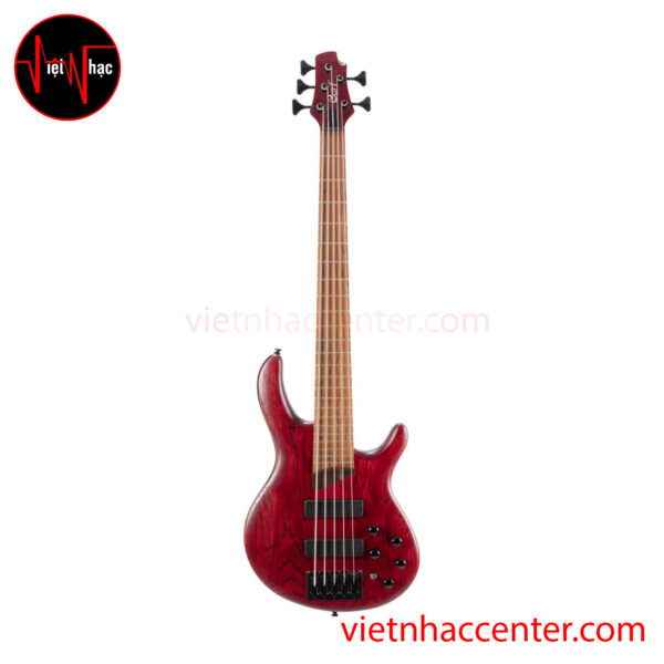 Guitar Bass Cort B5 Element