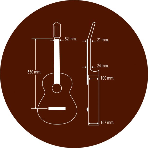 Guitar Classic Paco Castillo 205