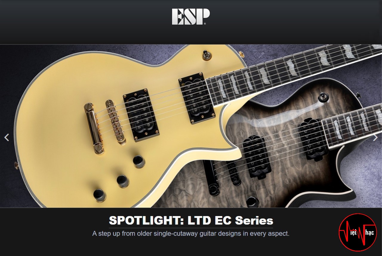 Guitar Điện ESP EC256