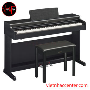 Piano Điện Yamaha YDP-164B