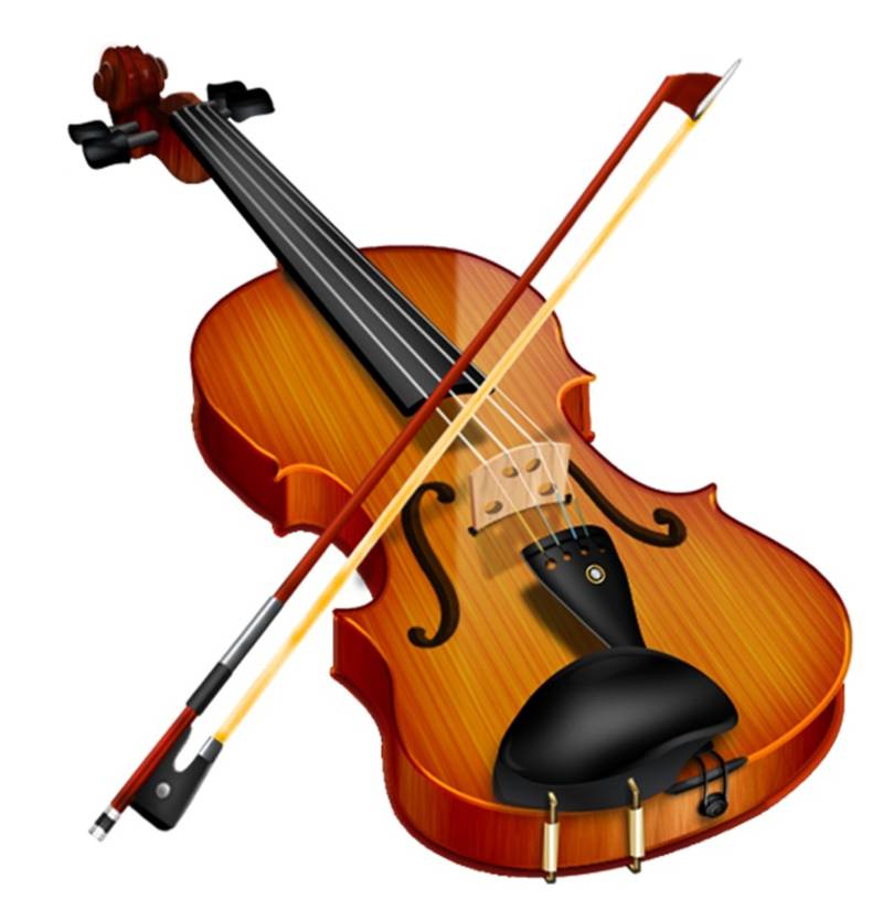 5 Phụ Kiện Không Thể Thiếu Của Đàn Violin